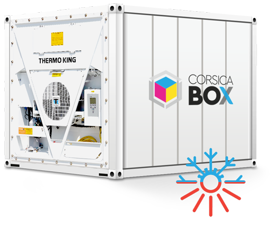 Container frigorifique 10 pieds reefer – température de -25°C à +25°C, groupe froid, 7 m², 16 m³, disponible neuf & occasion - Image 1