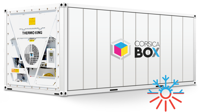 Container frigorifique 20 pieds reefer chambre froide avec sol inox plat et éclairage led - Image 1