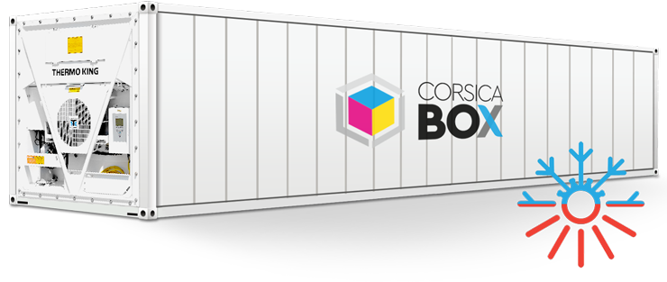 Container frigorifique 40 pieds reefer high cube – température de -25°C à +25°C, groupe froid industriel, 26,50 m², 64,60 m³, neuf & occasion - Image 1