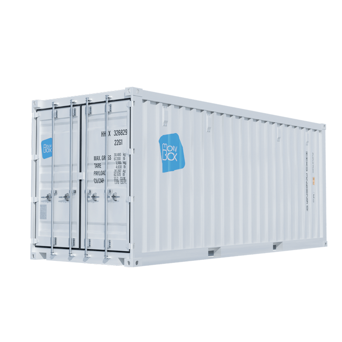 Container 20&prime; DRY maritime neuf ou premier voyage – 33 m³, 14 m², coins ISO - Image 1