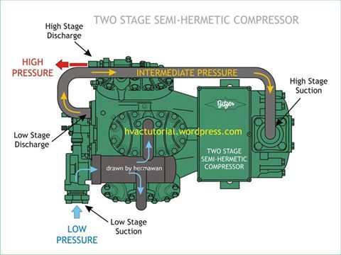 Tunnel de Congélation Conteneurisé Mobile THERMODESIGN MBF 40 XL – Température -40°C – Capacité 4000 kg/8h – Surface 12 m² - Image 1