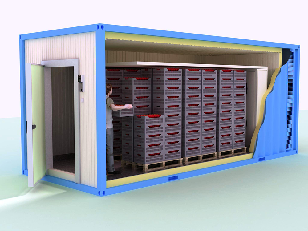 Tunnel de Congélation Conteneurisé THERMODESIGN MBF 40 – Température -40°C – Capacité 6000 kg/24h - Image 2