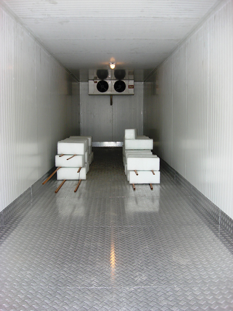 Chambre Froide De Type Conteneur RFR40-COLD – Portable, 40ft, 7700W, 0/+4°C - Image 1