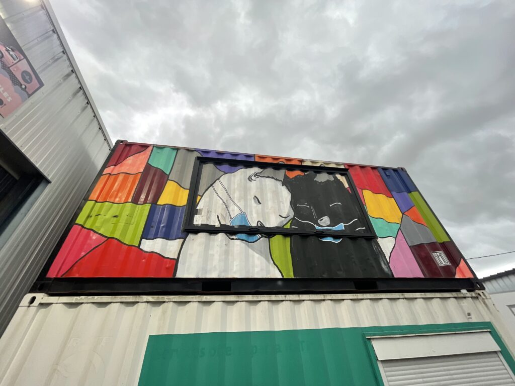 Container 20 pieds Snack – avec ouverture latérale, auvent, sol Gerflor, hotte inox – 33 m³ - Image 2