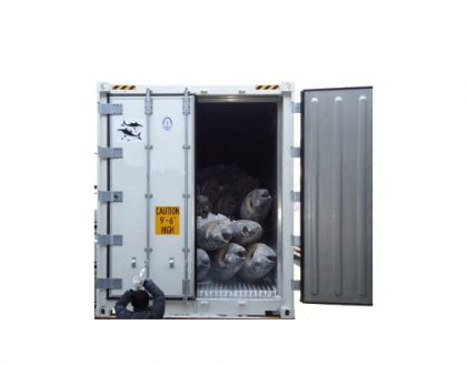 SuperFreezers – Reefers pour le transport et la conservation du thon rouge à -60 °C 2